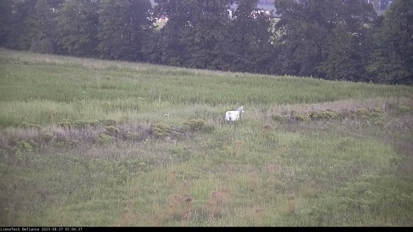 Cell 2 to 3_23-08-27_07-04-27-96