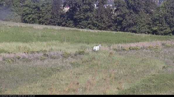 Cell 2 to 3_23-08-27_10-25-24-08