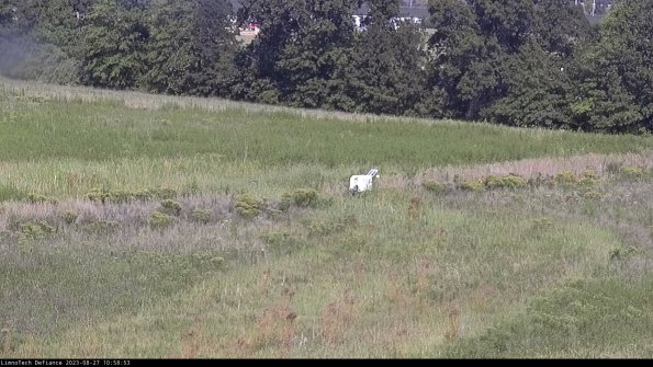 Cell 2 to 3_23-08-27_10-58-54-03