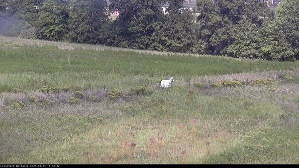 Cell 2 to 3_23-08-27_11-32-22-95