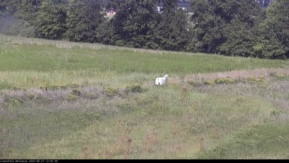 Cell 2 to 3_23-08-27_12-05-51-07