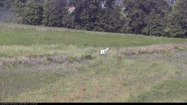 Cell 2 to 3_23-08-27_12-39-20-96