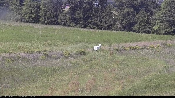 Cell 2 to 3_23-08-27_13-12-49-05