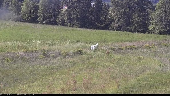 Cell 2 to 3_23-08-27_15-26-48-06