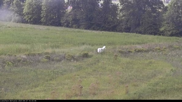 Cell 2 to 3_23-08-27_16-33-47-07