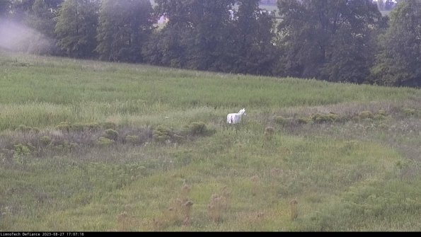 Cell 2 to 3_23-08-27_17-07-17-02