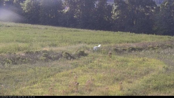 Cell 2 to 3_23-08-27_18-14-17-06