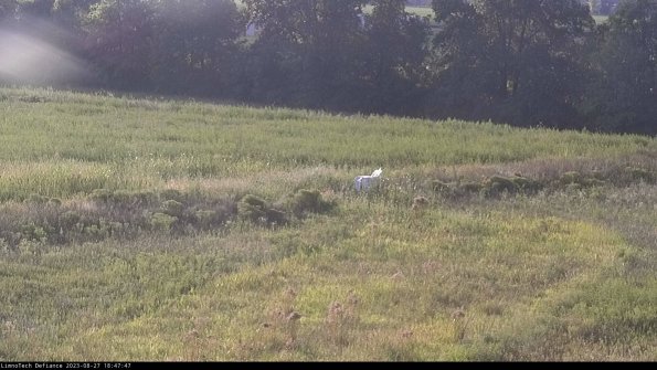 Cell 2 to 3_23-08-27_18-47-47-95