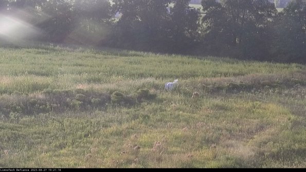 Cell 2 to 3_23-08-27_19-21-16-97