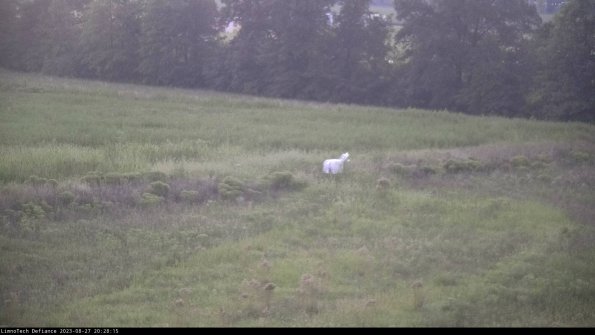 Cell 2 to 3_23-08-27_20-28-15-98