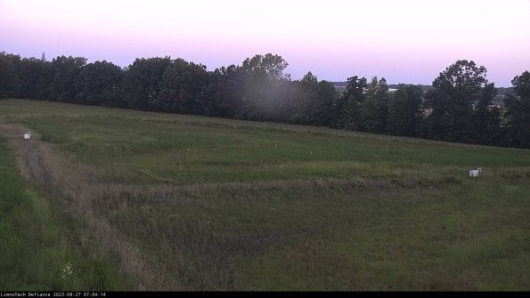 Cell 2_23-08-27_07-04-14-95