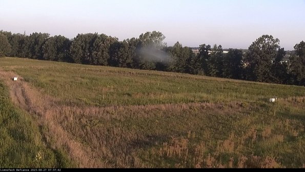 Cell 2_23-08-27_07-37-42-90