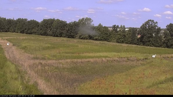 Cell 2_23-08-27_10-58-40-89