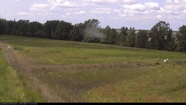 Cell 2_23-08-27_14-19-35-91