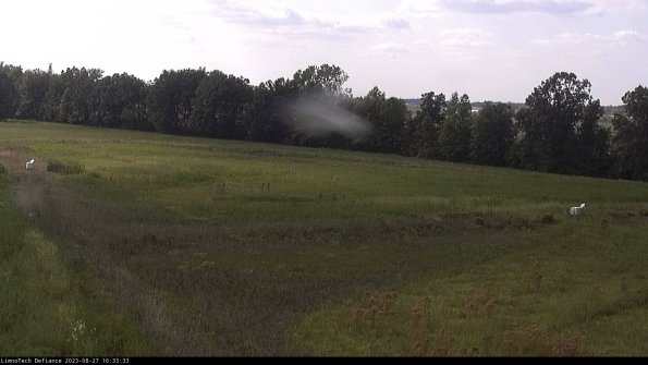 Cell 2_23-08-27_16-33-33-95