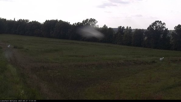 Cell 2_23-08-27_17-07-03-91