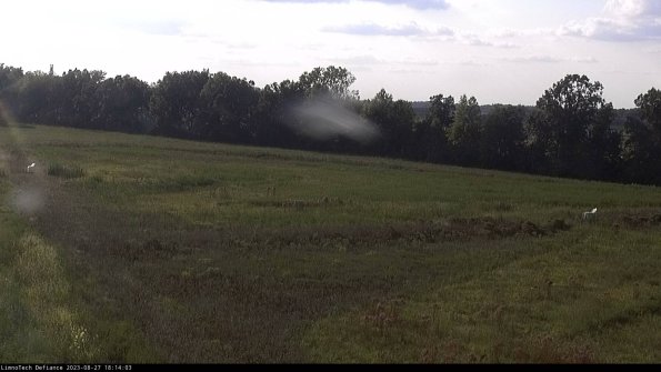 Cell 2_23-08-27_18-14-03-92