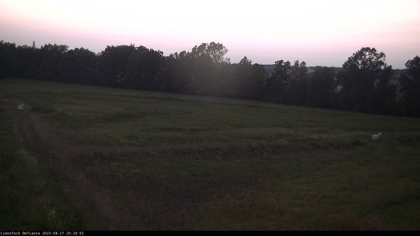 Cell 2_23-08-27_20-28-02-90