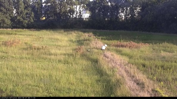 Cell 3 to 4_23-08-27_08-11-54-86