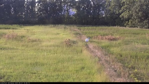 Cell 3 to 4_23-08-27_18-48-15-88