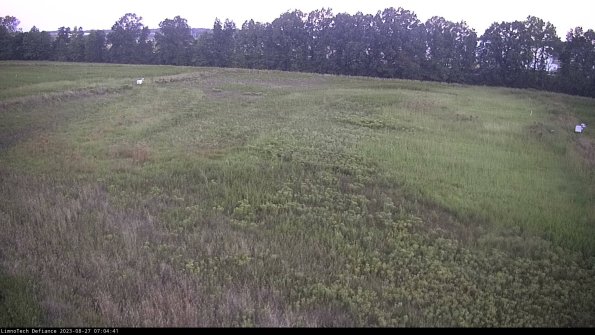 Cell 3_23-08-27_07-04-42-11