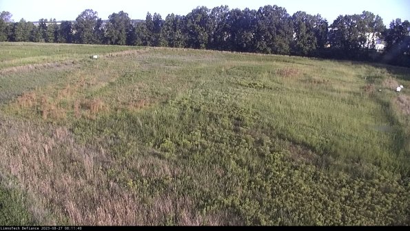 Cell 3_23-08-27_08-11-40-88