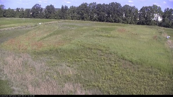 Cell 3_23-08-27_10-59-08-88