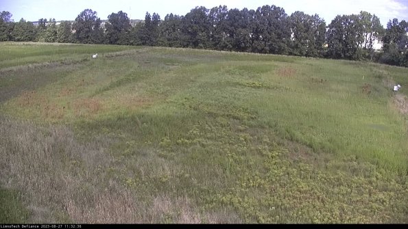 Cell 3_23-08-27_11-32-37-10