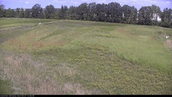 Cell 3_23-08-27_12-06-05-89