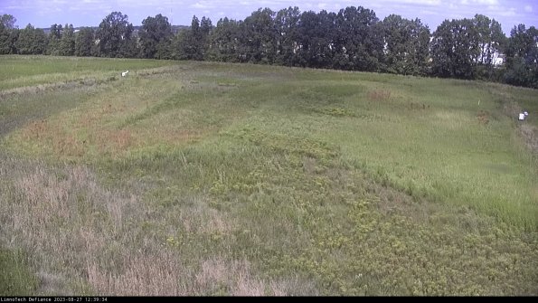 Cell 3_23-08-27_12-39-35-14