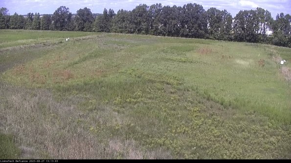 Cell 3_23-08-27_13-13-03-86