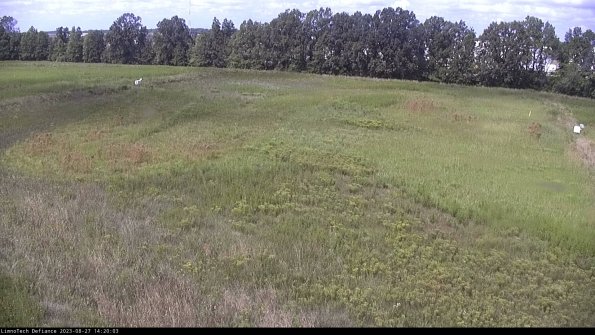 Cell 3_23-08-27_14-20-03-87