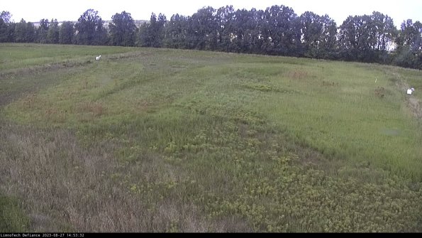 Cell 3_23-08-27_14-53-32-89