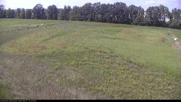 Cell 3_23-08-27_15-27-02-87