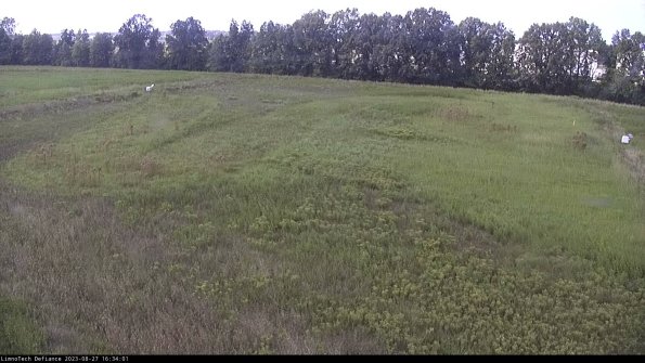 Cell 3_23-08-27_16-34-01-88