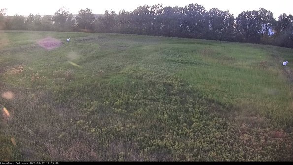 Cell 3_23-08-27_19-55-00-87