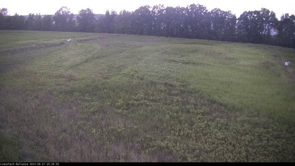 Cell 3_23-08-27_20-28-30-86