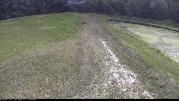 Cell 4 to Basin_23-08-27_12-07-03-88