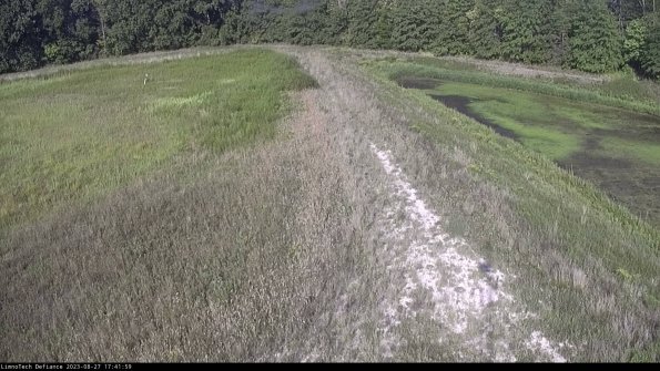 Cell 4 to Basin_23-08-27_17-41-59-88