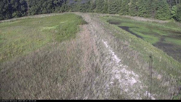 Cell 4 to Basin_23-08-27_18-15-29-87