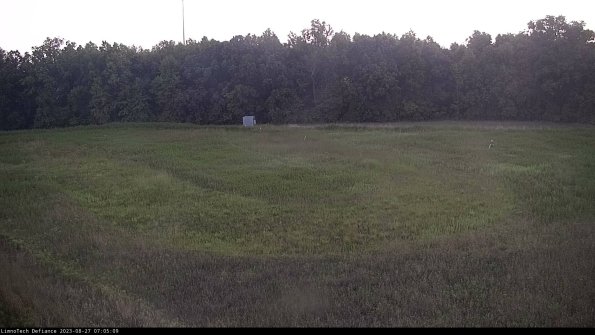 Cell 4_23-08-27_07-05-09-87