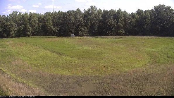 Cell 4_23-08-27_10-59-36-88