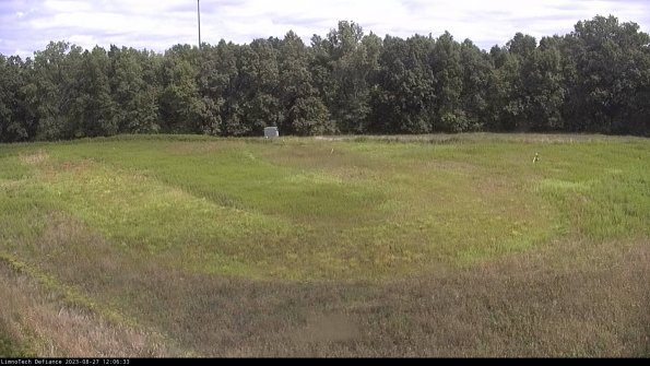 Cell 4_23-08-27_12-06-33-88