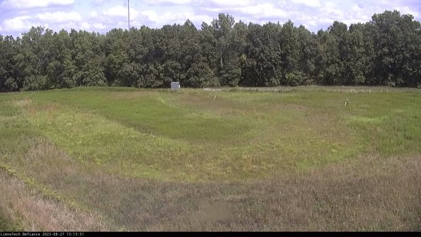 Cell 4_23-08-27_13-13-31-86