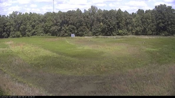 Cell 4_23-08-27_14-20-31-86