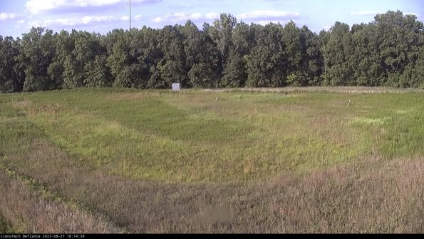 Cell 4_23-08-27_18-14-59-87