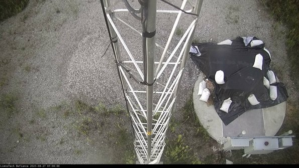 Hatch_23-08-27_07-00-00-89