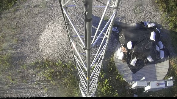 Hatch_23-08-27_08-13-47-88