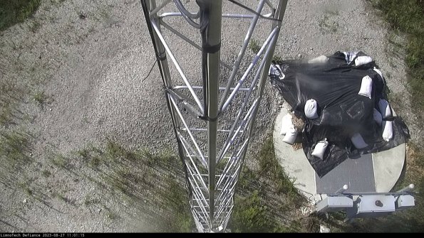 Hatch_23-08-27_11-01-15-88