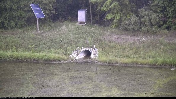 Basin Inflow_23-08-30_07-40-32-86